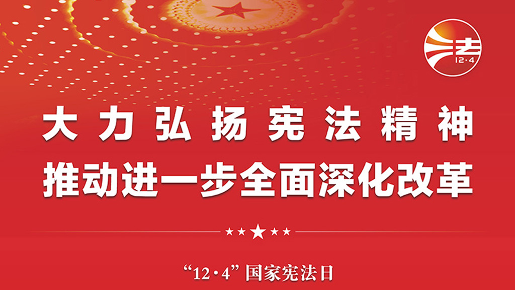 12.4 国家宪法日